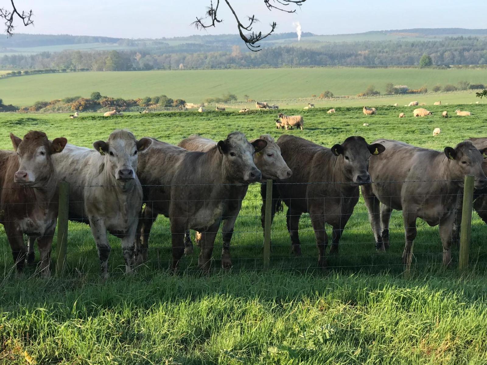 بلفورد Buckton Farmhouse المظهر الخارجي الصورة