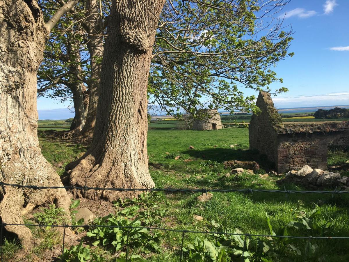 بلفورد Buckton Farmhouse المظهر الخارجي الصورة